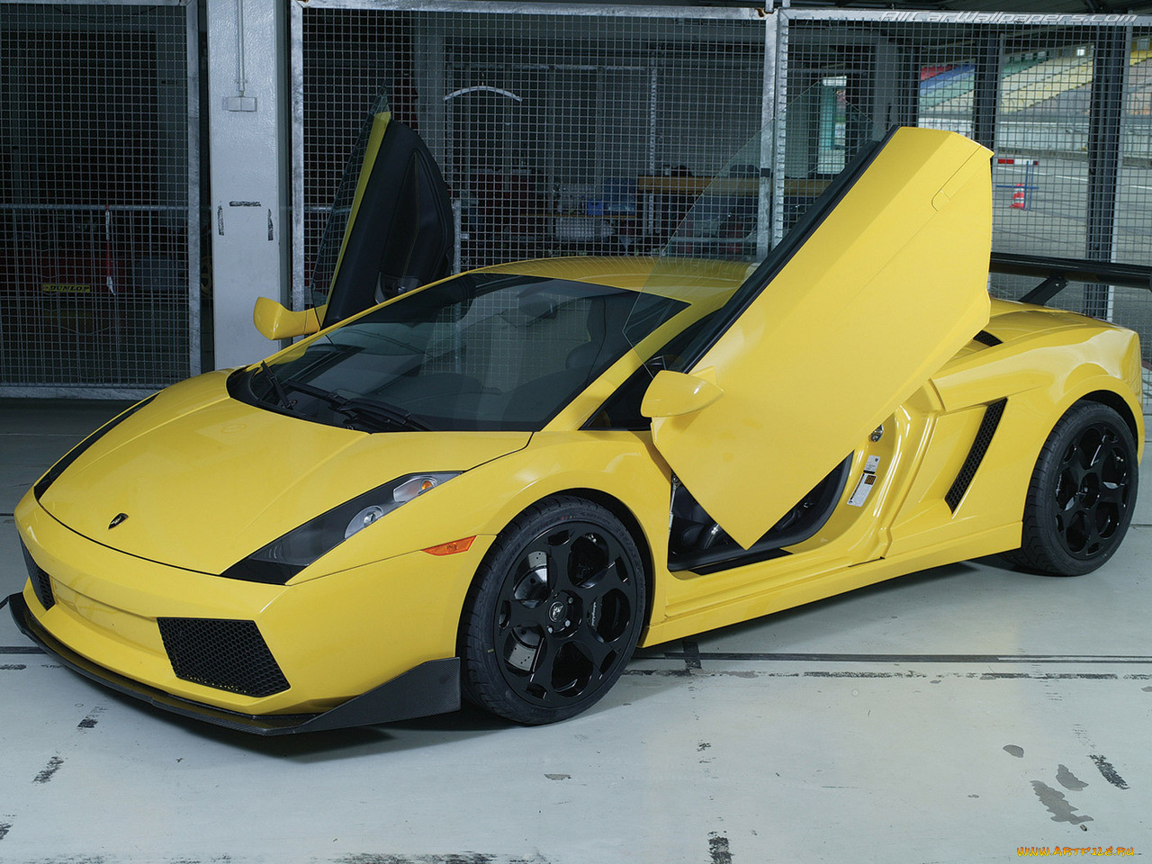 , lamborghini